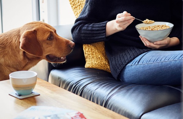 Tips for a Whole Lot Better Lock Down |Lizi’s